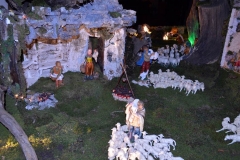 jaslice-2014-13